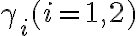 \gamma_{i}(i=1,2)