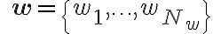 \quad \mathbf{w}=\left\{w_{1}, \ldots, w_{N_{w}}\right\}