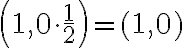 \left(1,0\cdot {\dfrac{1}2}\right)=(1,0)