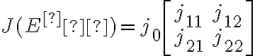  J(E^∗)= j_0 \left[\begin{array}{ll}
         j_{11} & j_{12}\\
        j_{21} & j_{22}\end{array} \right] 