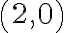 \left(2,0\right)